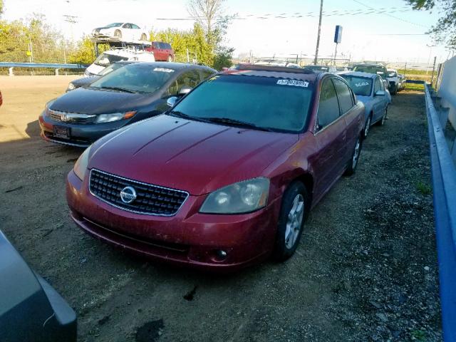 1N4BL11D36C135428 - 2006 NISSAN ALTIMA SE BURGUNDY photo 2