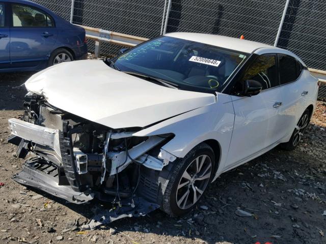 1N4AA6AP8HC428091 - 2017 NISSAN MAXIMA 3.5 WHITE photo 2