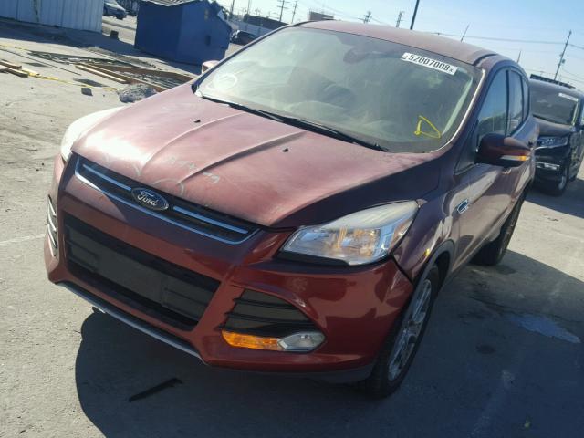 1FMCU0JX4EUB49651 - 2014 FORD ESCAPE TIT RED photo 2