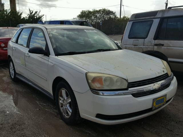 1G1ZT62865F116692 - 2005 CHEVROLET MALIBU MAX თეთრი ფოტო 1