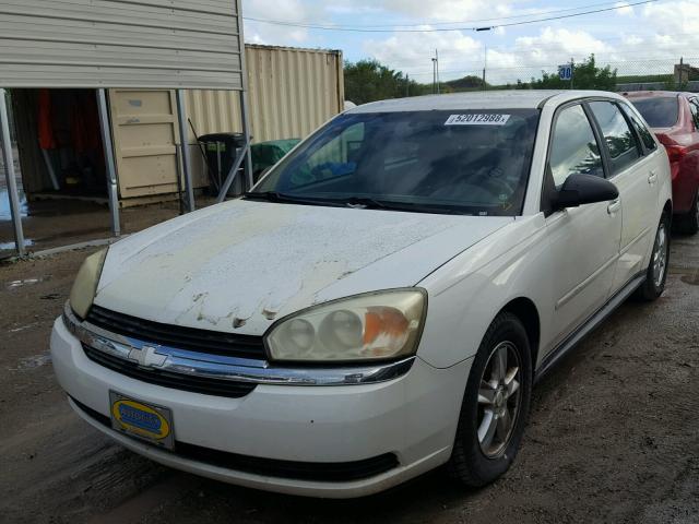 1G1ZT62865F116692 - 2005 CHEVROLET MALIBU MAX თეთრი ფოტო 2
