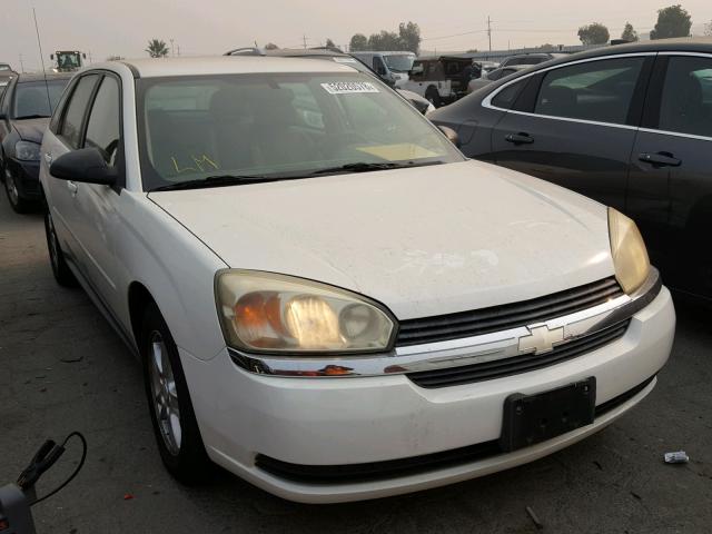1G1ZT64834F204238 - 2004 CHEVROLET MALIBU MAX თეთრი ფოტო 1