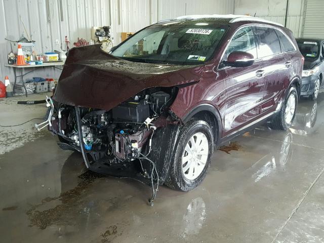 5XYPG4A30HG281474 - 2017 KIA SORENTO LX BURGUNDY photo 2