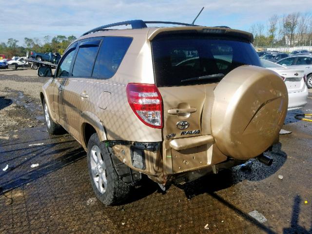 2T3DK4DV3AW034679 - 2010 TOYOTA RAV4 LIMIT BEIGE photo 3