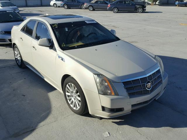 1G6DE5EY4B0115589 - 2011 CADILLAC CTS LUXURY CREAM photo 1