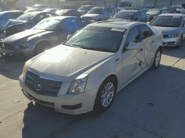 1G6DE5EY4B0115589 - 2011 CADILLAC CTS LUXURY CREAM photo 2