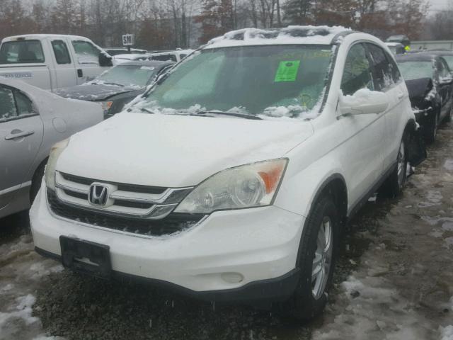 5J6RE4H7XAL025175 - 2010 HONDA CR-V EXL WHITE photo 2