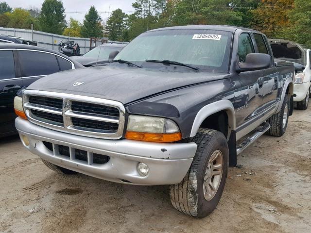 1B7HG48N72S671310 - 2002 DODGE DAKOTA QUA GRAY photo 2