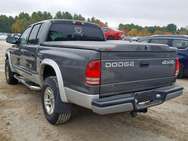 1B7HG48N72S671310 - 2002 DODGE DAKOTA QUA GRAY photo 3