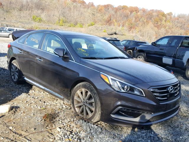 5NPE34AF8HH508948 - 2017 HYUNDAI SONATA SPO CHARCOAL photo 1