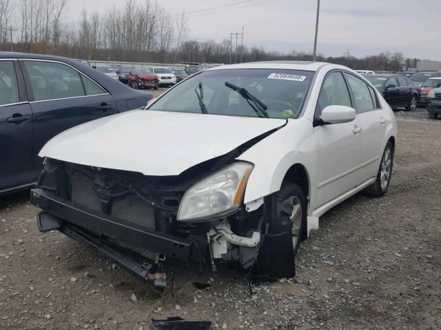 1N4BA41E88C833200 - 2008 NISSAN MAXIMA SE WHITE photo 2