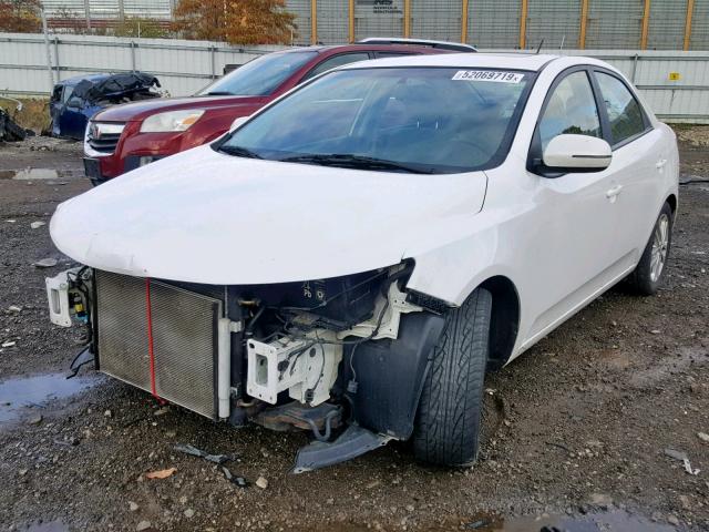 KNAFU4A26C5621415 - 2012 KIA FORTE EX WHITE photo 2