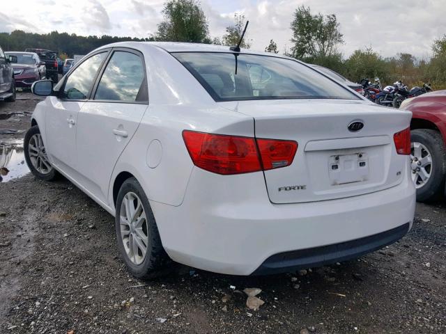 KNAFU4A26C5621415 - 2012 KIA FORTE EX WHITE photo 3