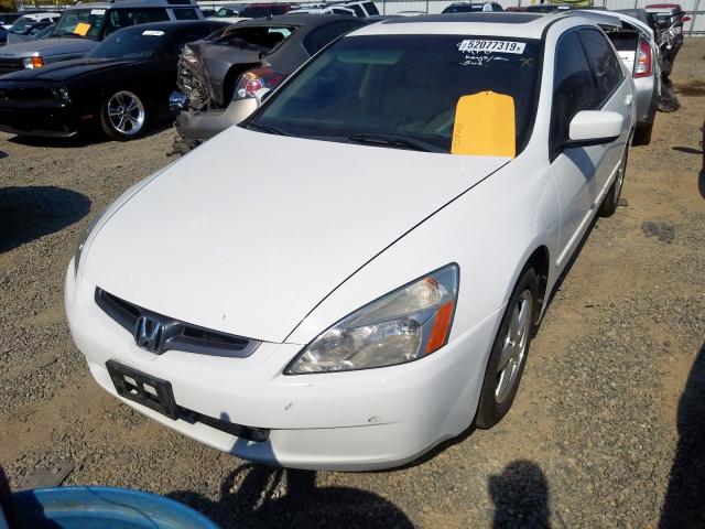 1HGCM56865A012250 - 2005 HONDA ACCORD EX WHITE photo 2