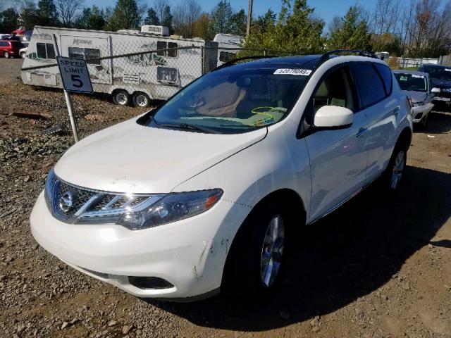 JN8AZ1MW5EW531220 - 2014 NISSAN MURANO S WHITE photo 2