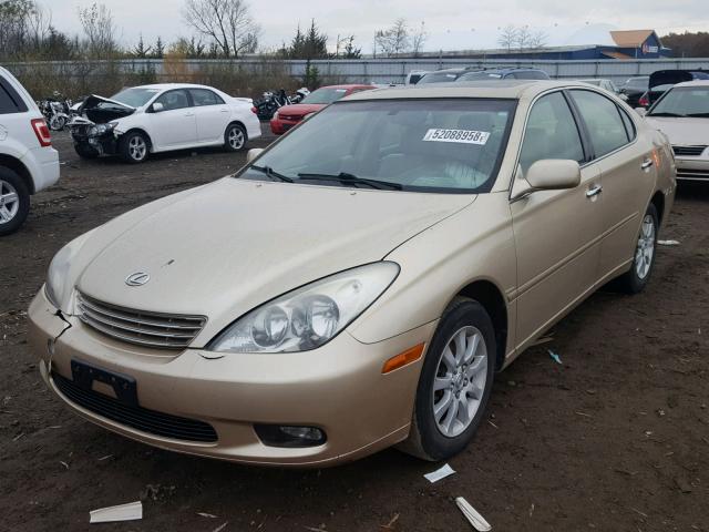 JTHBF30G230095203 - 2003 LEXUS ES 300 GOLD photo 2