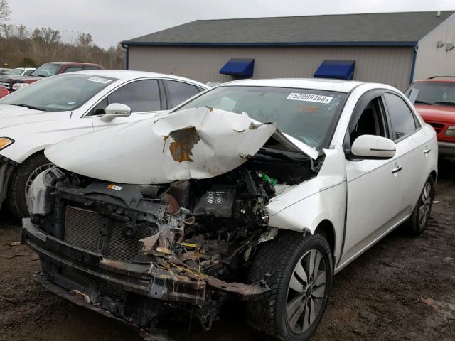 KNAFU4A29D5667726 - 2013 KIA FORTE EX WHITE photo 2