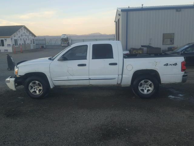 1D7HW58N16S710784 - 2006 DODGE DAKOTA QUA WHITE photo 9