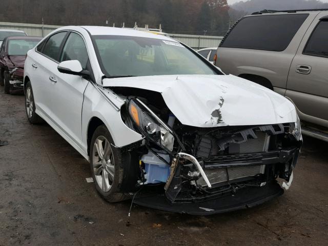 5NPE34AF4JH640093 - 2018 HYUNDAI SONATA SPO WHITE photo 1