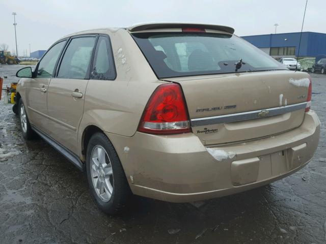 1G1ZT64815F190146 - 2005 CHEVROLET MALIBU MAX ოქროსფერი ფოტო 3