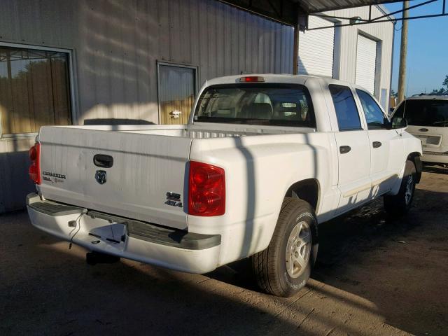 1D7HW48N56S502496 - 2006 DODGE DAKOTA QUA WHITE photo 4