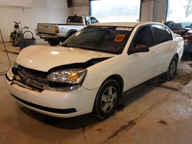 1G1ZT54845F195755 - 2005 CHEVROLET MALIBU LS 白色 照片 2