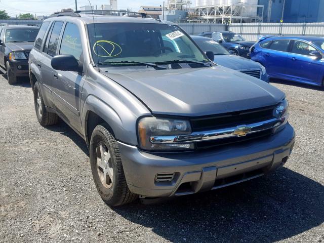 1GNDT13S362267908 - 2006 CHEVROLET TRAILBLAZE GRAY photo 1