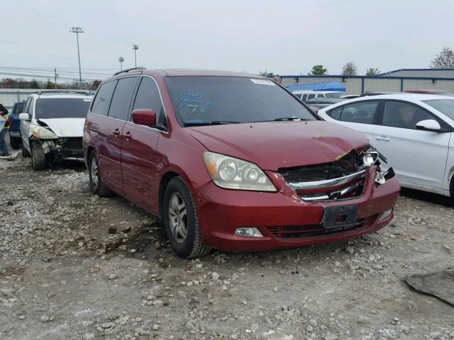 5FNRL38895B005555 - 2005 HONDA ODYSSEY TO RED photo 1