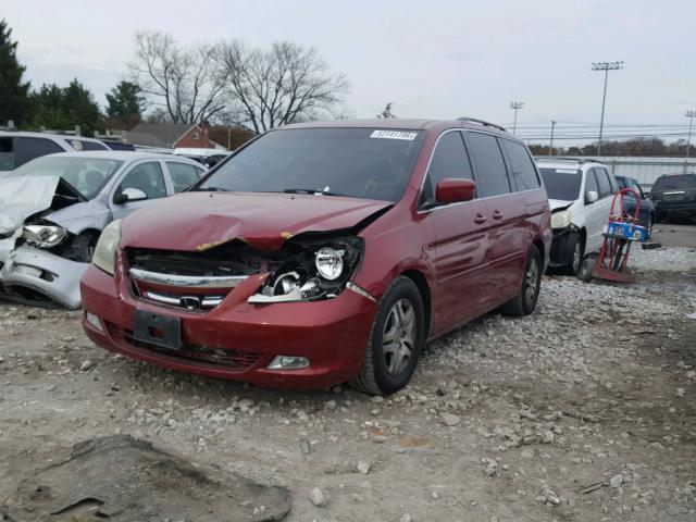 5FNRL38895B005555 - 2005 HONDA ODYSSEY TO RED photo 2