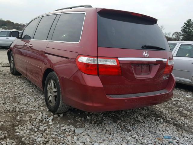 5FNRL38895B005555 - 2005 HONDA ODYSSEY TO RED photo 3