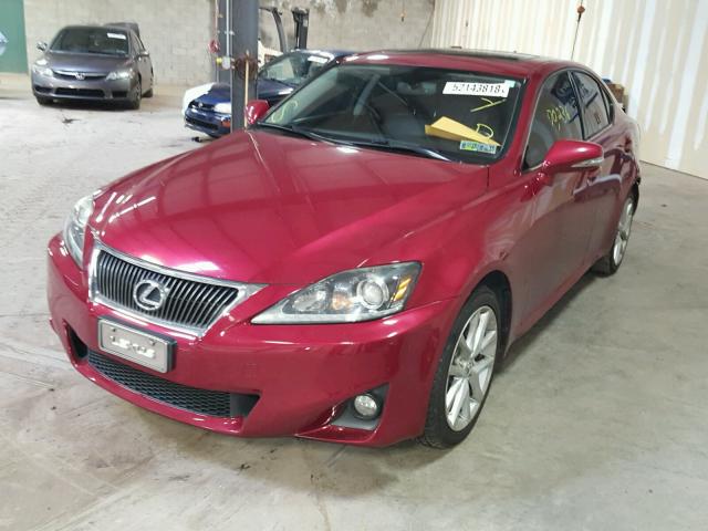 JTHCF5C26C5058304 - 2012 LEXUS IS 250 MAROON photo 2