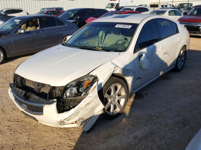 1N4BA41E08C828850 - 2008 NISSAN MAXIMA SE WHITE photo 2