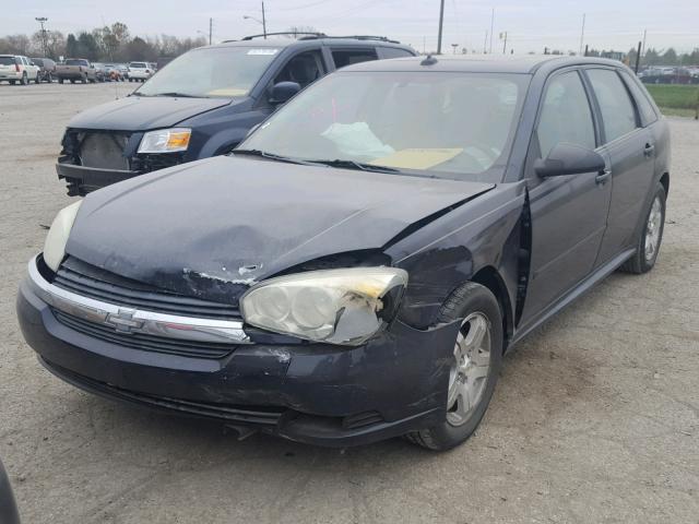 1G1ZU64865F253691 - 2005 CHEVROLET MALIBU MAX ლურჯი ფოტო 2