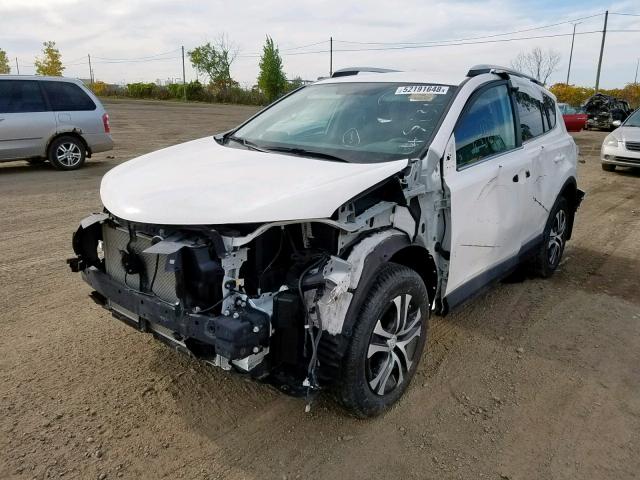 2T3BFREV6GW495567 - 2016 TOYOTA RAV4 LE WHITE photo 2