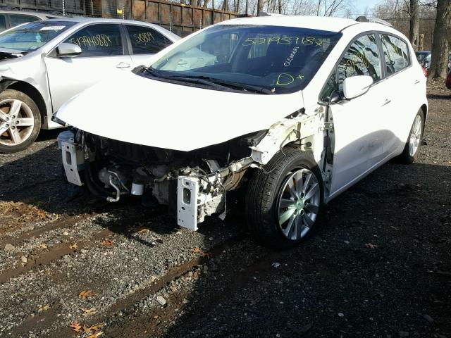 KNAFX5A83E5177043 - 2014 KIA FORTE EX WHITE photo 2