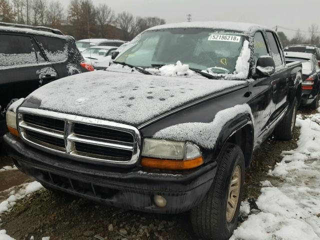 1D7HG38K34S619858 - 2004 DODGE DAKOTA QUA BLACK photo 2