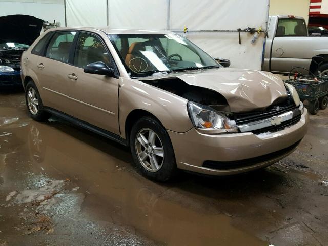 1G1ZT64834F155803 - 2004 CHEVROLET MALIBU MAX თაფლისფერი ფოტო 1