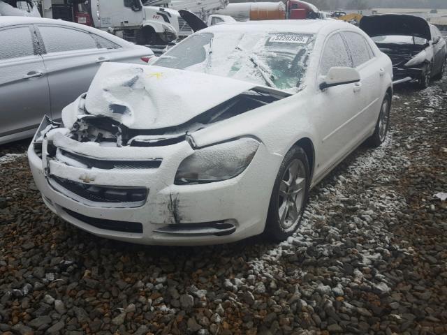 1G1ZH57B19F174747 - 2009 CHEVROLET MALIBU 1LT 白色 照片 2