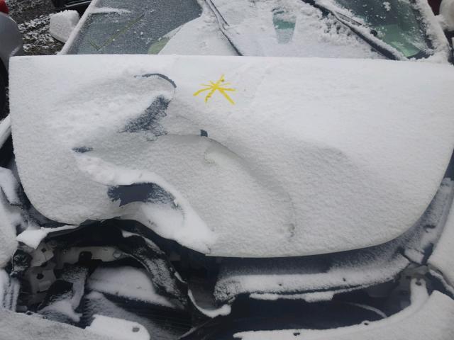 1G1ZH57B19F174747 - 2009 CHEVROLET MALIBU 1LT 白色 照片 7