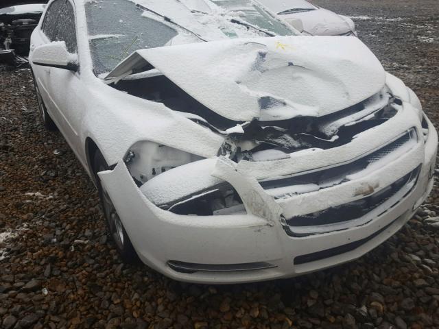 1G1ZH57B19F174747 - 2009 CHEVROLET MALIBU 1LT 白色 照片 9