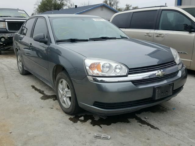 1G1ZT52815F316308 - 2005 CHEVROLET MALIBU LS GRAY photo 1