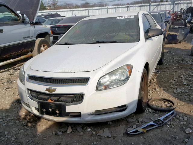 1G1ZG57B59F234404 - 2009 CHEVROLET MALIBU LS Ağ foto 2