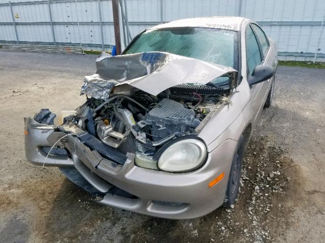 1B3ES26C82D560374 - 2002 DODGE NEON GOLD photo 2