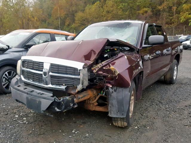 1D7HW48K05S182184 - 2005 DODGE DAKOTA QUA MAROON photo 2