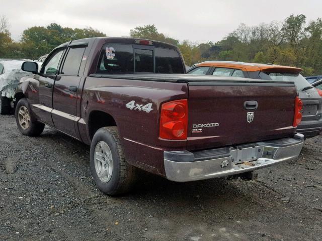 1D7HW48K05S182184 - 2005 DODGE DAKOTA QUA MAROON photo 3