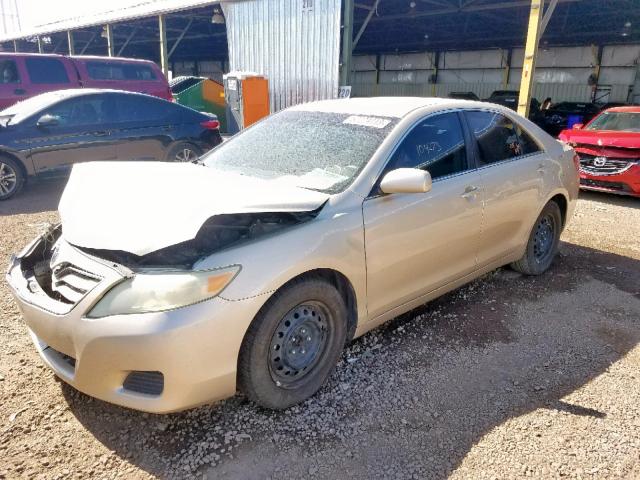 4T4BF3EK3AR068677 - 2010 TOYOTA CAMRY BASE GOLD photo 2