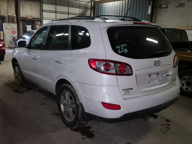 5XYZK4AG9BG063065 - 2011 HYUNDAI SANTA FE L WHITE photo 3