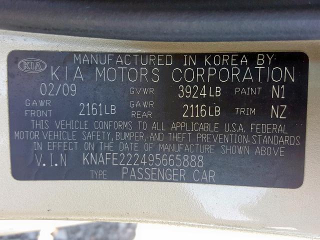 KNAFE222495665888 - 2009 KIA SPECTRA EX GOLD photo 10