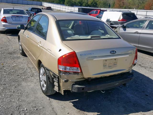 KNAFE222495665888 - 2009 KIA SPECTRA EX GOLD photo 3