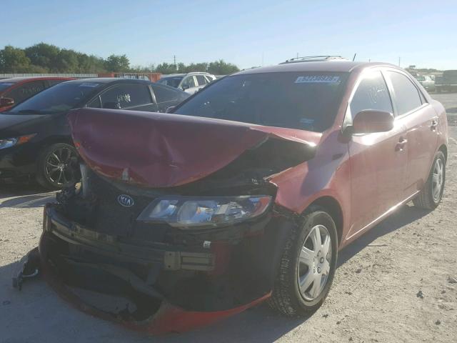 KNAFU4A27D5662525 - 2013 KIA FORTE EX RED photo 2